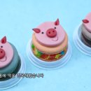 코니핑크 이미지