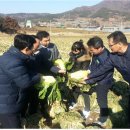 해남군-09 이미지