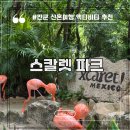 아라육로58번길-R | 스칼렛 아르떼 액티비티 스칼렛 파크 운영시간 (동물원, 공연)