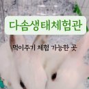 다솜생태체험관 이미지