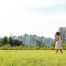 아이코리아새세대유치원 이미지