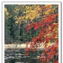 에버그린주유소 이미지