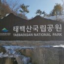 태백산보석사우나 이미지