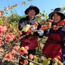 산음영농 이미지