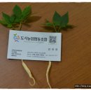 군산농업협동조합 이미지