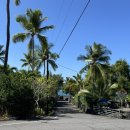 6099 | 투스텝 비치 스노쿨링 &amp; Pu’uhonua O Honaunau National Historical Park 여행 후기 | 무료주차 꿀팁까지