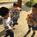 참새놀이터