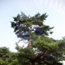 영광 내산서원 이미지