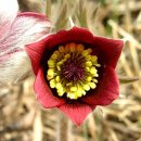 리버빌펜션 이미지