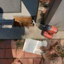 청라온누리약국 이미지