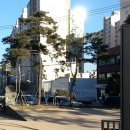 석촌동주민센터 이미지