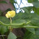 호박공방 이미지