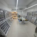 에그박스 영등포 대림점 | 서울 대림 포켓몬카드 성지! 콜렉트온(Collect On) 카드샵 방문 후기