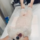 산청동물병원 이미지