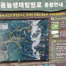 심적유원지 이미지