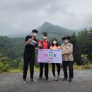 교통약자 이동지원 센터 행복콜 이미지