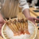 센텀해운대유치원 | [부산맛집] 해운대 센텀 오마카세 ‘스시잇센’ 후기