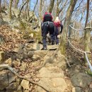 축령산 치유의 숲 안내센터 | 피톤치드(Phytoncide)를 마시며... 장성 축령산 겨울 힐링산행