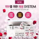 지엠에스(GMS)