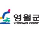 영월세무서 티스토리