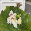 기장우체국 | 대가횟집ㅣ기장 칠암 아나고회 맛집 밀키트 후기ㅣ서이추환영