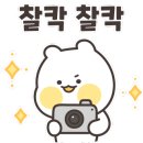 스시다올