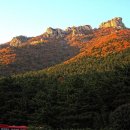 금산-63 이미지