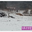 대한농장 이미지