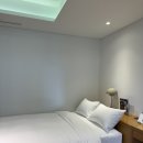 코스모스 | 5월 울릉도 여행 코스모스 울릉도 리조트 대추천 후기