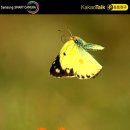 미남초등학교 이미지