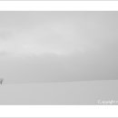 WhiteOut... 이미지