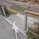 바멍샵 네이버블로그