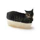 (주)벨프리즘 | 8월마무리하는금요일과고등어초밥