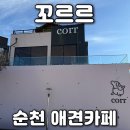 반값애견 | 순천 애견카페 꼬르르 강아지랑 힐링 되는 와온해변 뷰 맛집