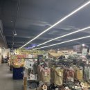 갤럭시펫 애견미용 이미지