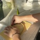 오브메르 이미지