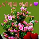 행복의료기 이미지