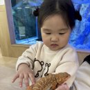 달팽이방갈로 | 밸리 가산점 - 파충류체험, 아쿠아리움, 놀이기구 모두 가능한 키즈카페 주말 후기! (주차, 할인, 식사 등)