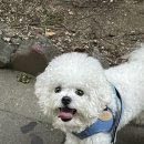 나나의 하루 이미지