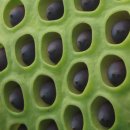 내동마을 이미지