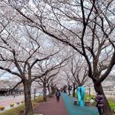 요천제방길 이미지