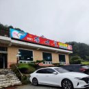 비발디송어골 | 강원도 홍천 비발디송어골 내돈내산 후기 | 오션월드 들렀다가 찐송어 맛집 발견, 매운탕까지 완벽했던...