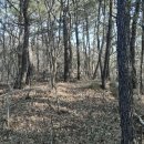 성안농장 이미지