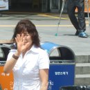 뉴월드나이트 이미지