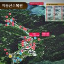 막실농장 | 가을에 가볼만한곳 힐링의 숲 청주 미동산 수목원 입장료 휴일 근처 맛집/카페 산책(등산) 코스