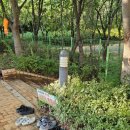 동부건강생활지원센터 화장실 이미지