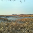 갯골안2 이미지