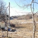 사과나무공인중개사사무소 이미지