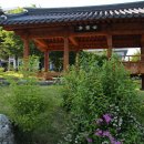 경북대학교 캠퍼스 이미지