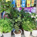 오성푸르메아파트(당정동) 이미지